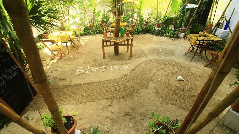 Blatha Tropical Rooms Holbox Eksteriør billede